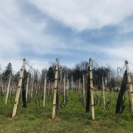 ロッジ Romantic House