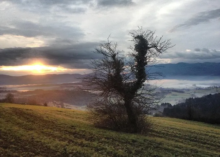 Romantic House Lodge