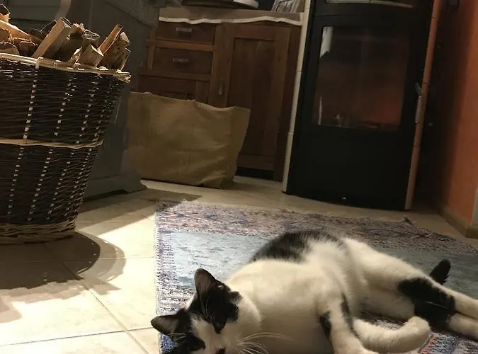 Lodge Romantic House *