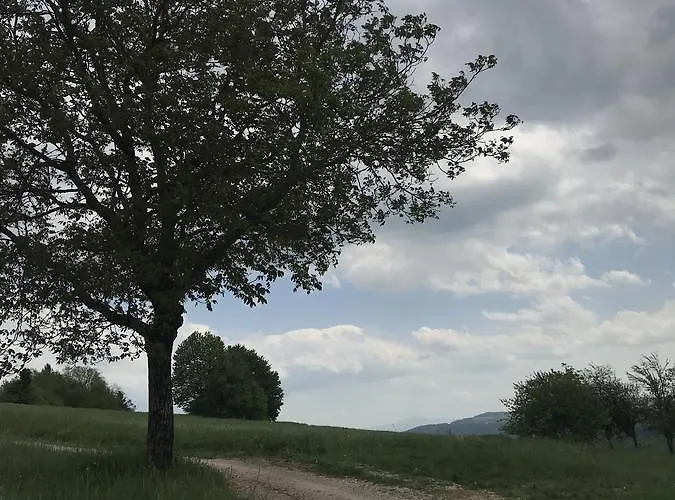 Lodge Romantic House *