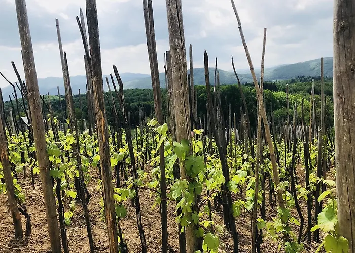 Lodge Romantic House